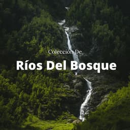 Colección De Ríos Del Bosque - Sonido del Agua Ruido Blanco Natural
