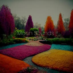 Moon Sounds to Relax - Brain Study Music Guys