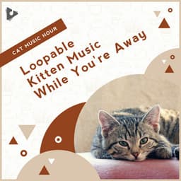 Loopable Kitten Music While You're Away - Cat Music Hour