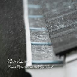 Rain Sounds: Tender Raindrops on the Roof Vol. 1 - Nature Ambience