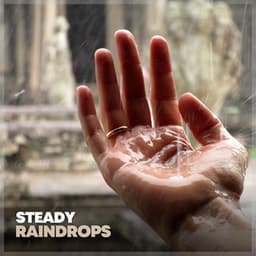 Steady Raindrops - Day & Night Rain