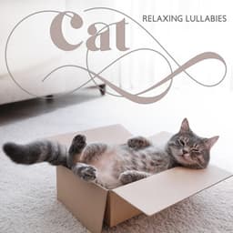 Cat Relaxing Lullabies - Relaxing Music