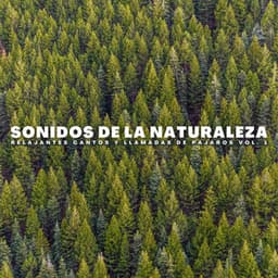 Sonidos De La Naturaleza: Relajantes Cantos Y Llamadas De Pájaros Vol. 1 - Serie de sonidos de la naturaleza