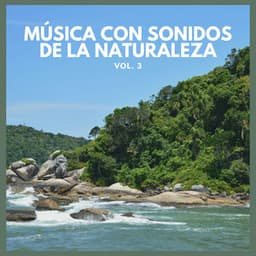 Música con Sonidos de La Naturaleza Vol. 3 - Lluvia Del Bosque