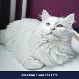 Cat Music - Relaxing Piano For Pets