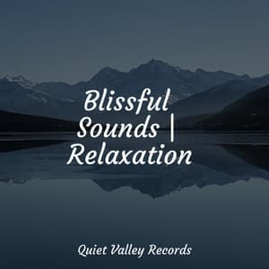 Blissful Sounds | Relaxation - Nature and Rain