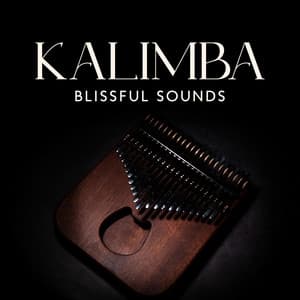 Kalimba Blissful Sounds - Misty Ray