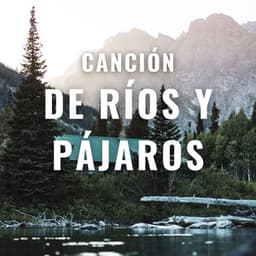 Canción De Ríos Y Pájaros - Sonido del Agua Ruido Blanco Natural