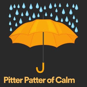 Pitter Patter of Calm - Raindrops Sleep