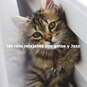 Un rato relajante con gatos y Jazz - Monday Morning Jazz Playlist