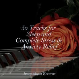 50 Tracks for Sleep and Complete Stress & Anxiety Relief - PianoDreams