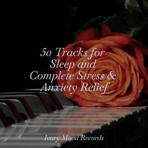 50 Tracks for Sleep and Complete Stress & Anxiety Relief - Ivory Mood