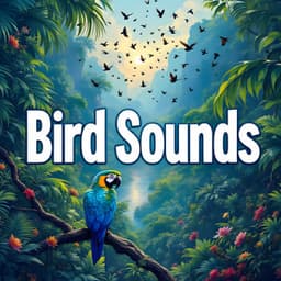 Bird Sounds - Nature Bird Sounds