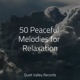 50 Peaceful Melodies for Relaxation - Nature Chillout