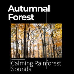 Autumnal Forest - Calming Rainforest Sounds
