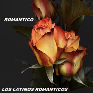 Romantico - Los Latinos Románticos