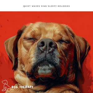 Quiet Waves Sing Sleepy Melodies - Dog Therapy