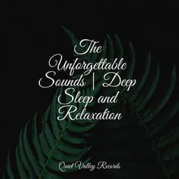 The Unforgettable Sounds | Deep Sleep and Relaxation - Reiki Music
