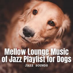 Jazz Sounds: Mellow Lounge Music of Jazz Playlist for Dogs - Monday Morning Jazz Playlist