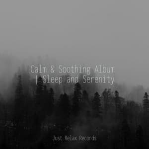 Calm & Soothing Album | Sleep and Serenity - Bird Sounds