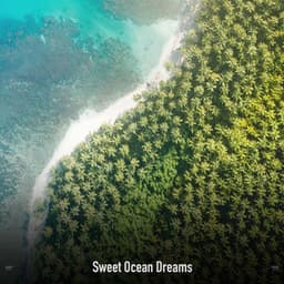 !!!!" Sweet Ocean Dreams "!!!! - Ocean Waves