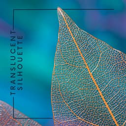 Translucent Silhouette - Isabel Sallow