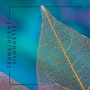 Translucent Silhouette - Isabel Sallow