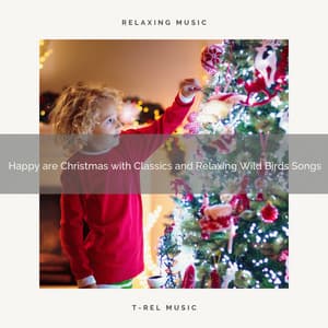 Happy are Christmas with Classics and Relaxing Wild Birds Songs - Wonderful Escape