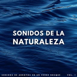 Sonidos De La Naturaleza: Sonidos De Arroyos En Un Verde Bosque Vol. 1 - Sonidos De Todos Ruídos