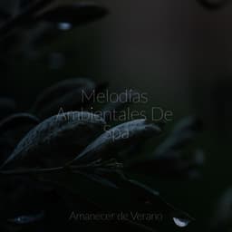 Melodías Ambientales De Spa - Sonidos de la Naturaleza Relajacion