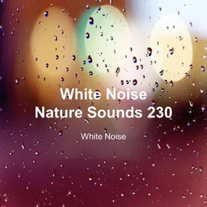 White Noise 230 - White Noise