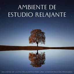 Ambiente De Estudio Relajante: Melodías De Lluvia Relajantes Para Una Concentración Profunda - Lluvia en España