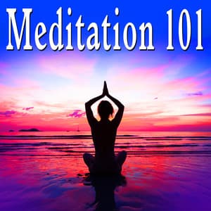 Meditation 101 - The Tranquil-tones