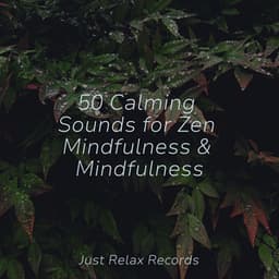 50 Calming Sounds for Zen Mindfulness & Mindfulness - Meditación