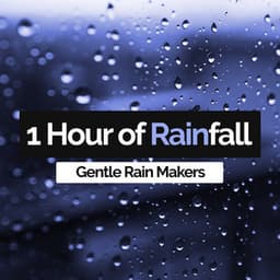 1 Hour of Rainfall - Gentle Rain Makers