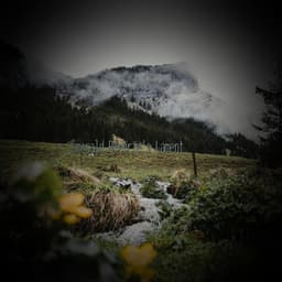 Emerald Reverie's Lament - Minds United