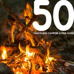 50 Crackling Campfire & Pink Noise, Loopable - Nature Lab