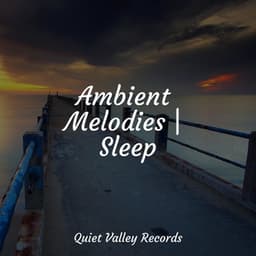 Ambient Melodies | Sleep - Massagem Coleção de Músicas