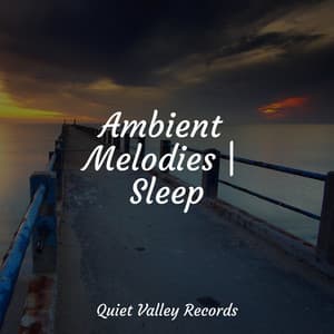 Ambient Melodies | Sleep - Massagem Coleção de Músicas