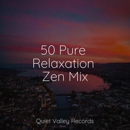 50 Pure Relaxation Zen Mix - Baby Sleep Music