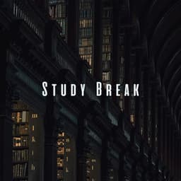 Study Break: Calming Meditation Melodies - Study Music Experience