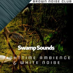 Swamp Sounds - Nighttime Ambience & White Noise, Loopable - Sleep Crickets