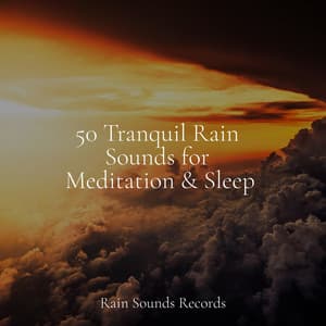 50 Tranquil Rain Sounds for Meditation & Sleep - Natural Sounds
