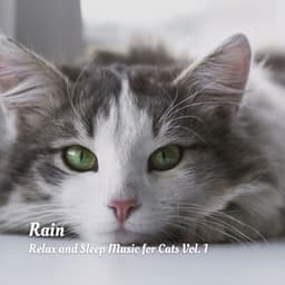 Rain: Relax and Sleep Music for Cats Vol. 1 - Calming Music For Pets