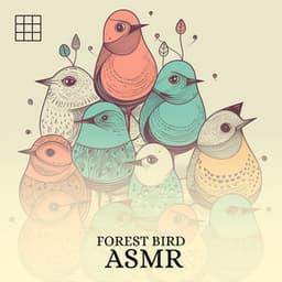 #01 Forest Bird Asmr - Bird Sounds