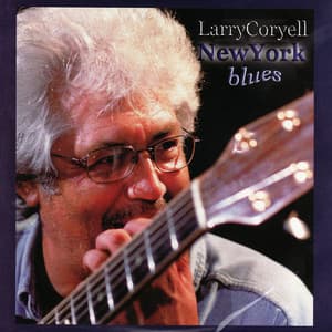 New York Blues - Larry Coryell