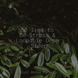 50 Time to De-Stress & Loopable Deep Sleep - Study Music & Sounds