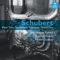 Schubert: Piano Trios - Sonatensatz - Notturno & Grand Duo - Franz Schubert