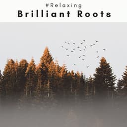 4 Ever Brilliant Roots - #Relaxing