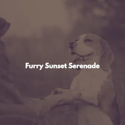 Furry Sunset Serenade - Happy Dinner Music